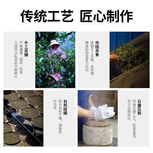 【春茶定制】元昌号2026年头春古树纯料定制 公斤价 商品图1