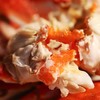【保鲜不保活】舟山野生红膏梭子蟹丨时令尝鲜，蟹肉的鲜甜、红膏的膏香在齿间萦绕，甘甜鲜美，货架期只有短短20天，错过这个季节就要等上一年⭐顺丰快递 商品缩略图5