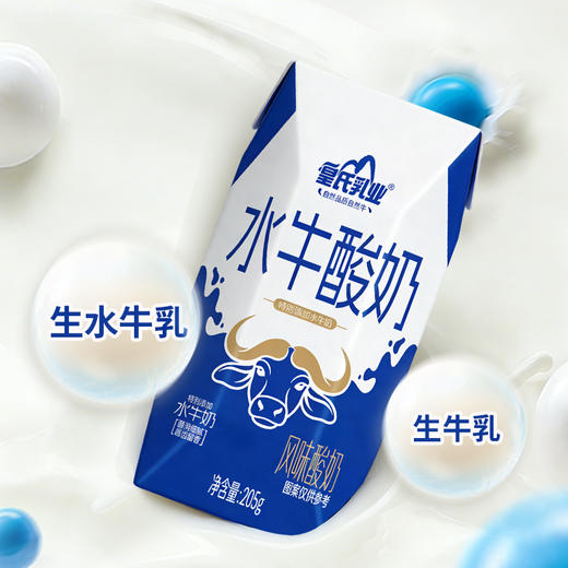 皇氏乳业水牛风味酸奶   205g*10盒/箱【WHD】 商品图1