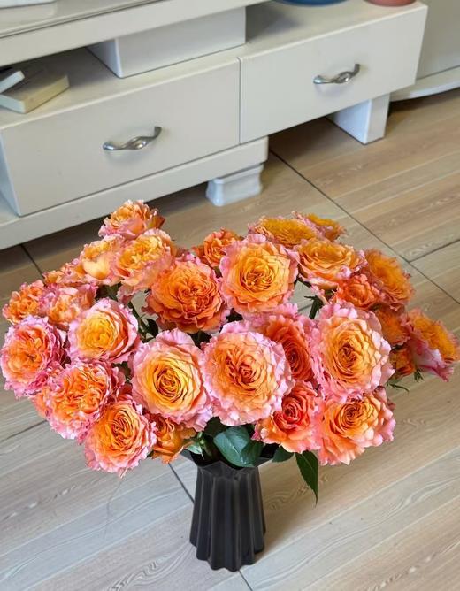 橙色多头玫瑰10枝 商品图4