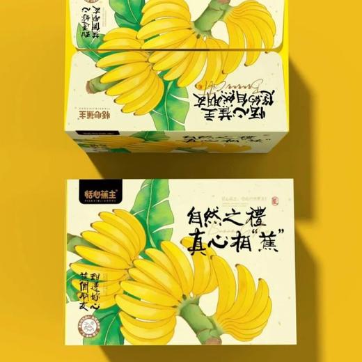 贝壳-佳丽蕉 精心挑选，香甜软糯，果香浓郁，口感细腻 商品图6