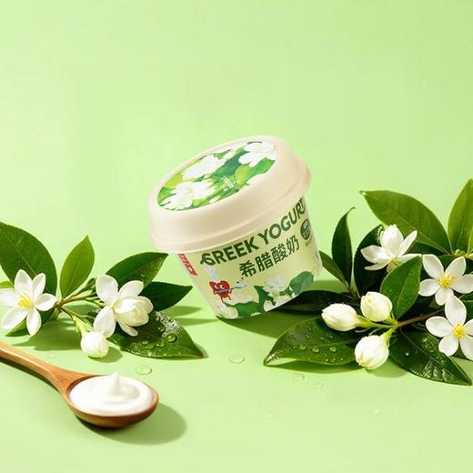 乐纯希腊酸奶茉莉花口味90g 商品图1