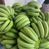【自营】云南高山香蕉5斤 商品缩略图5