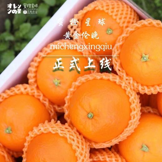 贝壳-蜜橙星球🍊黄金伦晚  晚熟精品，自然挂树成熟，汁水饱满，香甜化渣 商品图3