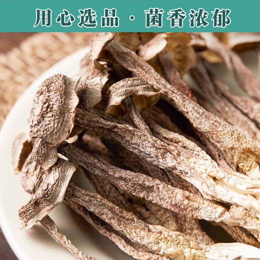 煲汤鹿茸菇干货 鹿茸菌特产火锅脆脆脆菇家用炒菜羊肚菌支持代发 商品图1