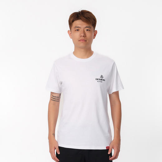 Dickies短袖T恤 休闲后背大印花舒适百搭宽松短袖T恤 DK0A87CT 商品图1