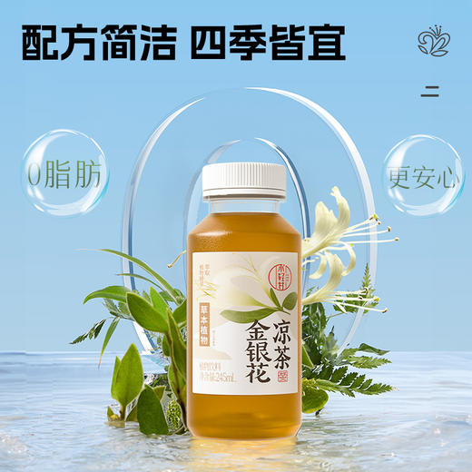 🔥轻上小青甘金银花凉茶植物饮料245ml*10瓶 商品图2