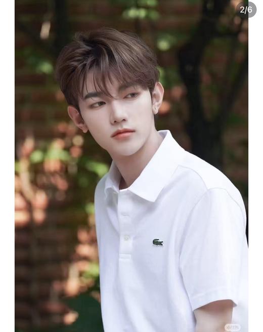 直发 王一博同款，LACOST* 男士经典Polo衫 商品图2