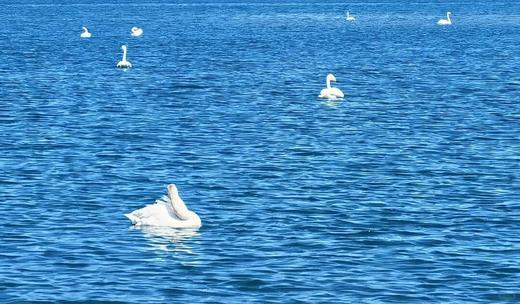 【暑期七彩伊犁亲子营】北疆慢游・邂逅七彩伊犁 商品图6