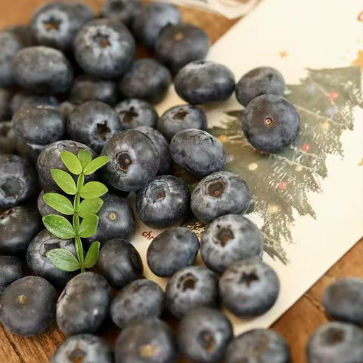 【自营】山东蓝莓125g/盒 京东/顺丰包邮 商品图5
