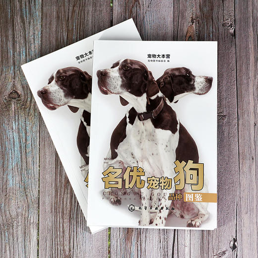 宠物大本营--名优宠物狗品种图鉴 商品图1