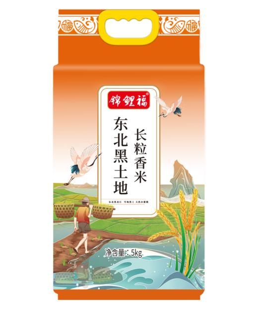【八十八倉甄选】锦鲤福东北黑土地长粒香米5kg 商品图0