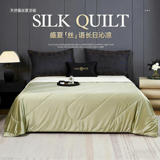【源头高货福利】多娜天然蚕丝夏凉被 | 20%桑蚕丝填充、亲肤舒适、透气性好、简约大气 商品图0