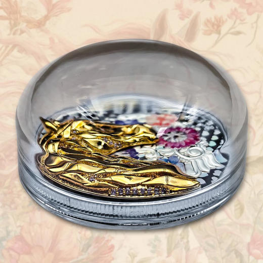 2026喀麦隆马年纪念币 3D立体金马颜值炸裂！带透明外罩、射灯包装盒证书 商品图5