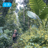 崇左✖️越南吉婆岛 跨境轻徒步｜剑龙山野径 明仕田园骑行 雨林穿越 24人精品小团 6日 商品缩略图1