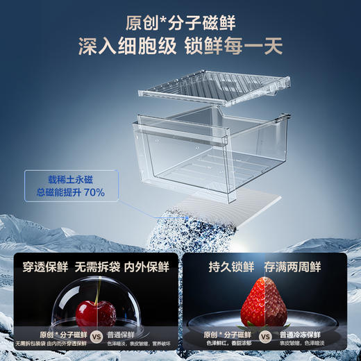 【新品上市】TCL 双磁鲜515升法式多门深冷磁鲜双系统双净味零嵌冰箱新一级 R515T11N-DQS 商品图3