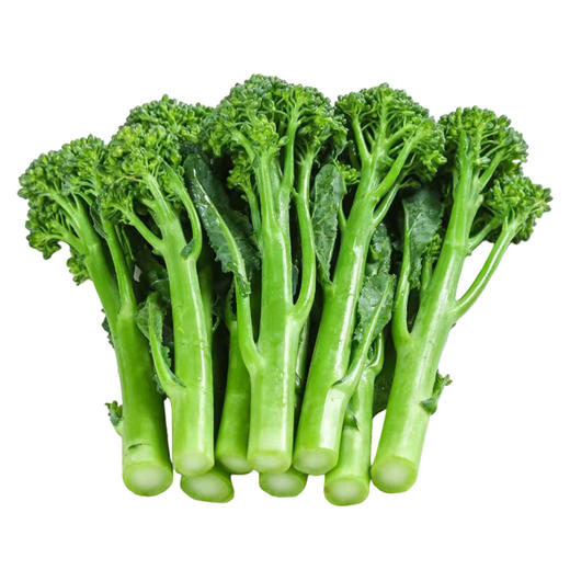 【自营】福建甜杆西兰苔2斤/3斤 顺丰/京东包邮 商品图4