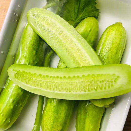 【自营】山东白玉黄瓜3斤/4斤 京东包邮 商品图1