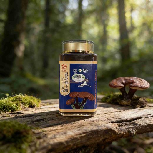 M000长白山有机灵芝孢子粉【250g*2瓶】 商品图0