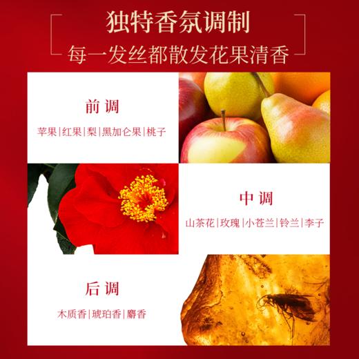 【跨境】丝蓓绮沁耀臻致滋润洗发露450ml+修护发膜粉180g(f非组套） 商品图3