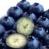 【自营】山东蓝莓125g/盒 京东/顺丰包邮 商品缩略图0