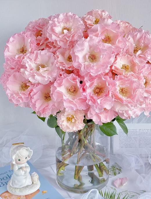 粉色多头玫瑰10枝 商品图6