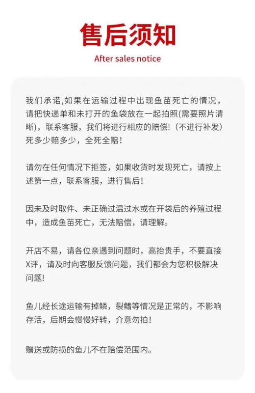淘牧金鱼5条5-7cm 金鱼观赏鱼鱼缸耐活鱼不打氧易存活小鱼苗淡水鱼冷水鱼兰寿金鱼 商品图5