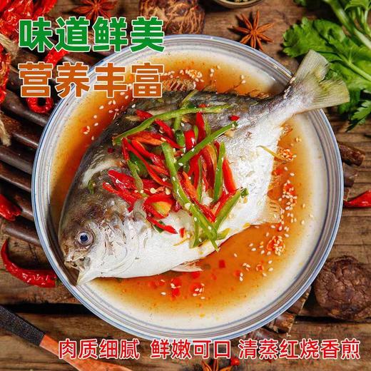 【门店同款】生态金鲳鱼（500g*4/提） 商品图1
