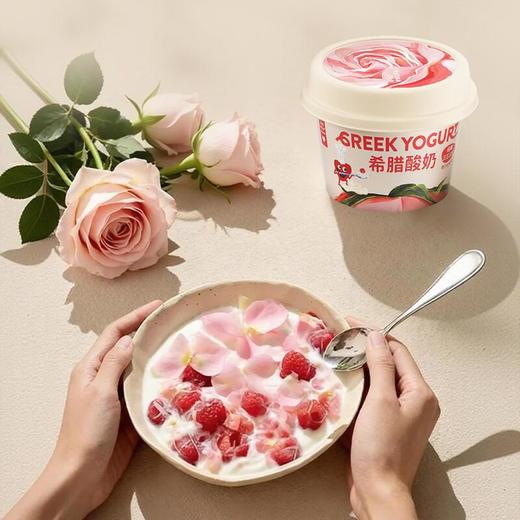 乐纯希腊酸奶椰子玫瑰口味90g 商品图2