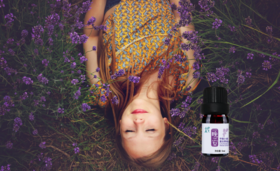  薰衣草【晚安】时光：宁静放松，甜蜜梦境