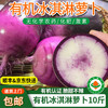 有机冰淇淋萝卜4斤/6斤/10斤脆甜不辣可生食生鲜蔬菜包邮 商品缩略图6