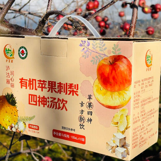 【买四箱送一箱】基地直发 | 有机苹果刺梨四神汤饮 商品图0