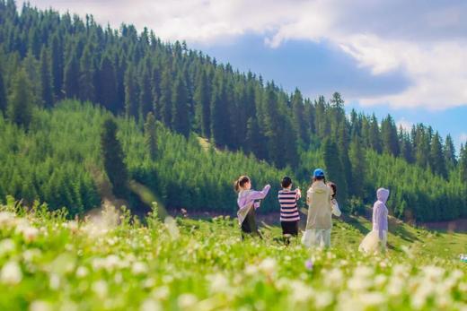 【暑期七彩伊犁亲子营】北疆慢游・邂逅七彩伊犁 商品图7