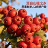 【福利❗️29.9抢42支🔥益生元鸡内金山楂糖】官方正品，原果鲜制口感新升级，益生元添加量≥10%，酸甜软糯一口绵密，开胃解馋葫芦棒棒糖酸甜不腻独立包装零食QQ 商品缩略图3