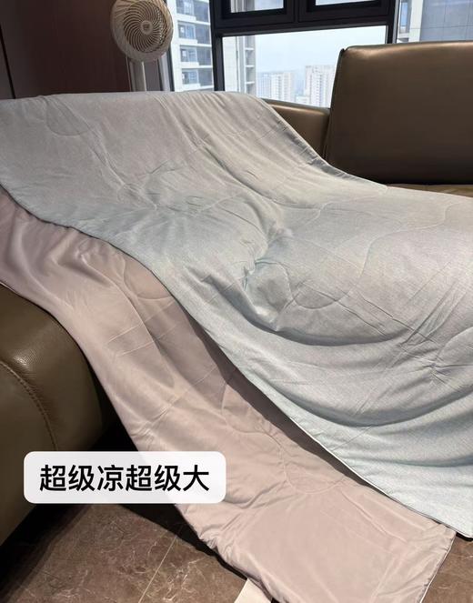 纯元！出口订单！Z品north bear 大白熊凉感夏被！ 商品图14