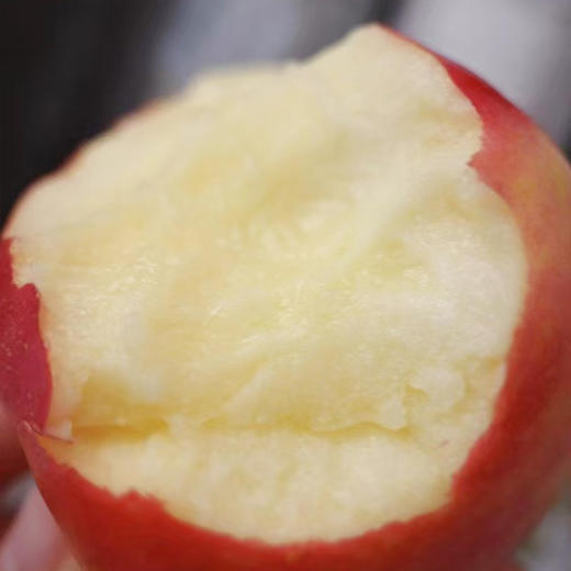 【自营】小花苹果6枚/10枚/12枚 规格可选（单果约160g+） 顺丰包邮 商品图2