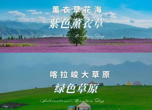 【暑期七彩伊犁亲子营】北疆慢游・邂逅七彩伊犁 商品图3