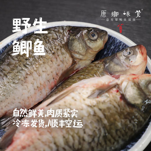 【野生鲫鱼】密云水库野生鱼（基地直发-顺丰快递）|  多种规格冷冻发货，来自北京密云水库（北京重要饮用水源），生产者：张友【合作生产，公平贸易】 商品图0