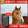 革泰神州17号GPS（4G信号）定位养殖放牧专用追踪神器 商品缩略图0