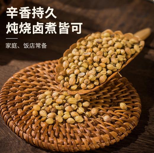 【YC】香菜籽 商品图2