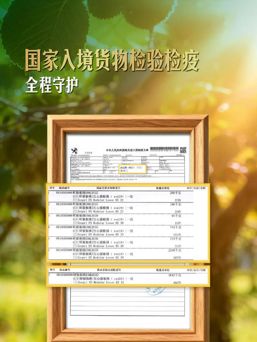 MM 山姆 佳沛（Zespri）新西兰进口 宝石红奇异果 880g 商品图3