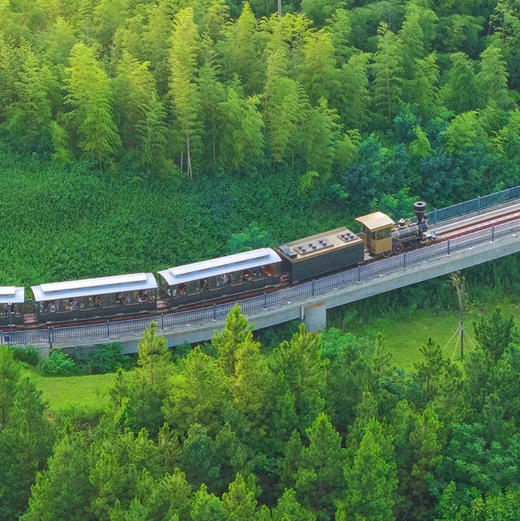 五一4天【溧阳南京】网红小火车穿越茶山竹海-窑湖小镇-南山竹海-天目湖-报恩禅寺-溧阳夜景-南京秦淮河 商品图0