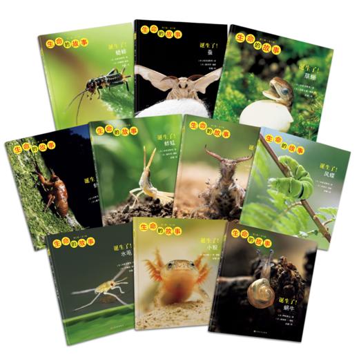 生命的故事1-5辑大全辑 商品图3