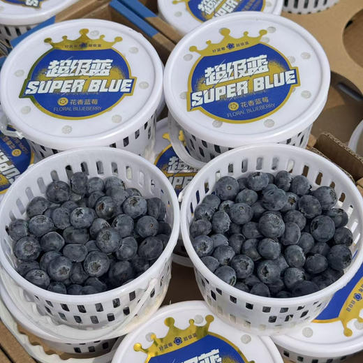 山地花香18+蓝莓桶 商品图4