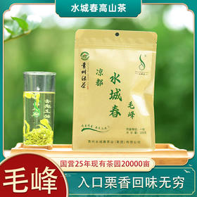 【六盘水水城春春茶】水城春毛峰（绿茶）100g/袋入口自然气息凉都高山茶回味无穷