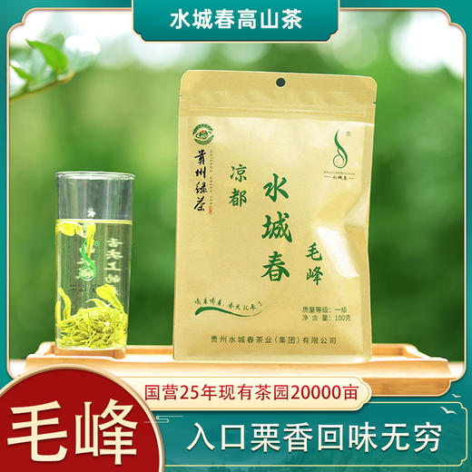 【六盘水水城春春茶】水城春毛峰（绿茶）100g/袋入口自然气息凉都高山茶回味无穷 商品图0