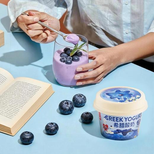 乐纯希腊酸奶蓝莓口味90g 商品图2