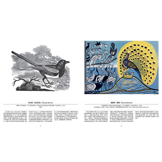 “费顿艺术灵感”系列典藏画册：鸟：探索飞翔的世界，一座“鸟类艺术博物馆”，  收录全球300余件经典作品，再现4000年鸟类艺术史 摄影画册 商品图3