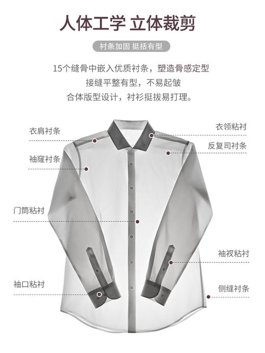 【凌志三号】铜氨莫代尔长袖衬衫247X0F642L 商品图3