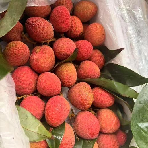 空运～桂花香荔枝【净重约2.3斤】不是所有荔枝都带桂花香，剥皮瞬间清香扑鼻，果肉晶莹如玉，入口清甜不腻，尾调桂花香气萦绕舌尖。冰镇桂花香荔枝，闺蜜下午茶C位担当。 商品图2